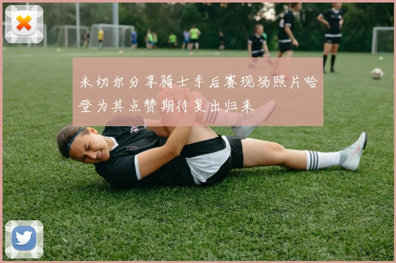 米切尔分享骑士季后赛现场照片哈登为其点赞期待复出归来